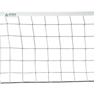 v1